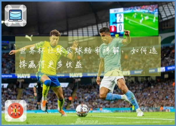 世界杯让球买球赔率详解，如何选择赢得更多收益