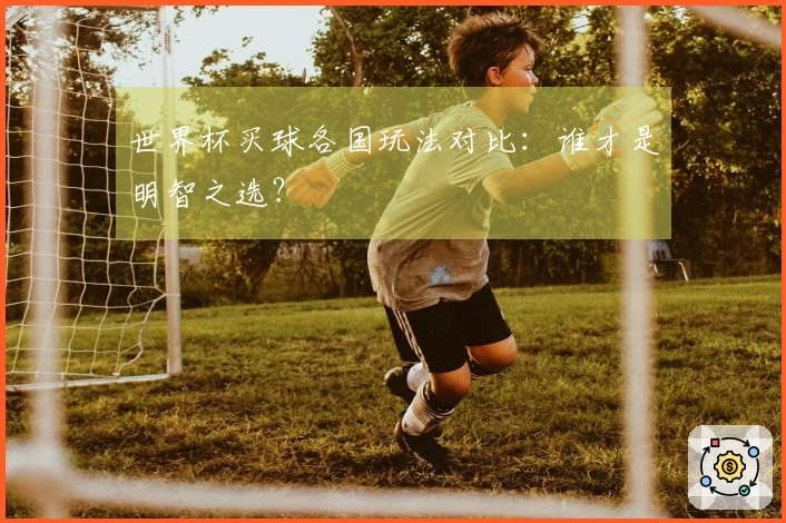 世界杯买球各国玩法对比：谁才是明智之选？