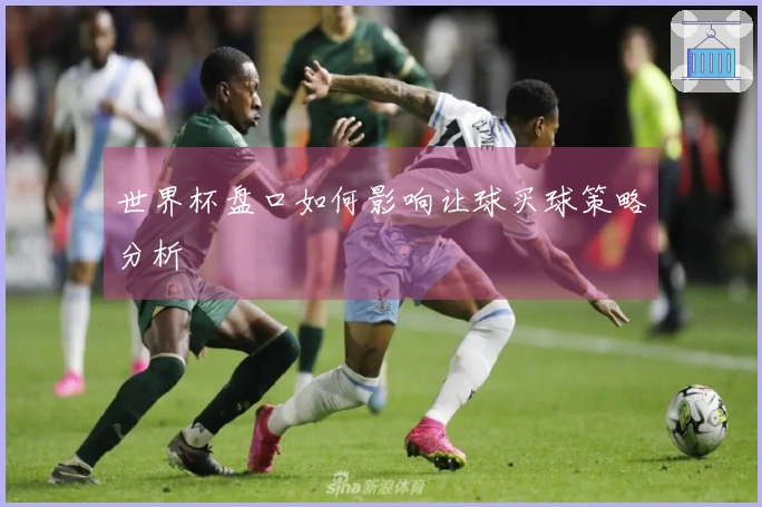 世界杯盘口如何影响让球买球策略分析