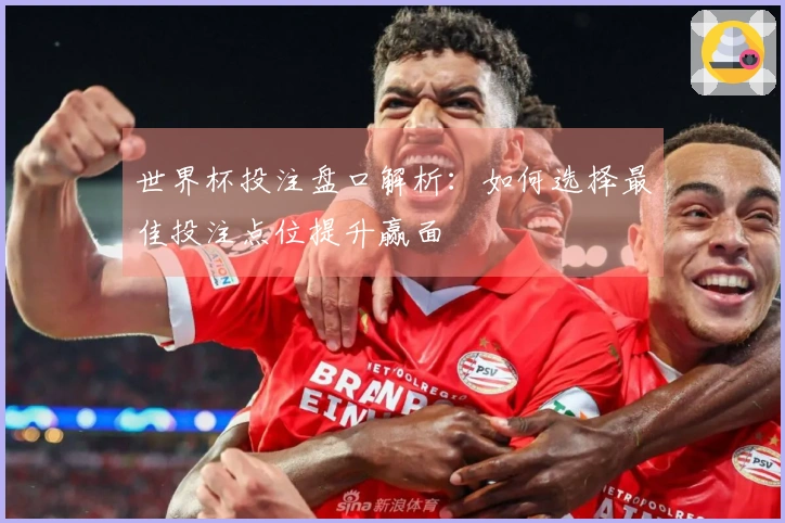 世界杯投注盘口解析：如何选择最佳投注点位提升赢面