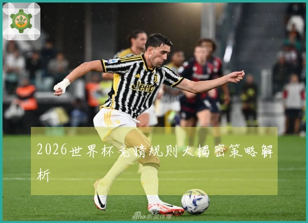 2026世界杯竞猜规则大揭密策略解析