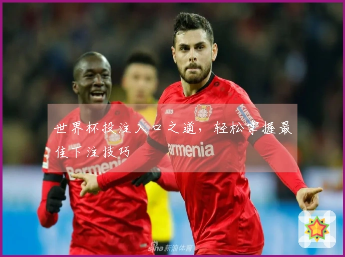 世界杯投注入口之道，轻松掌握最佳下注技巧