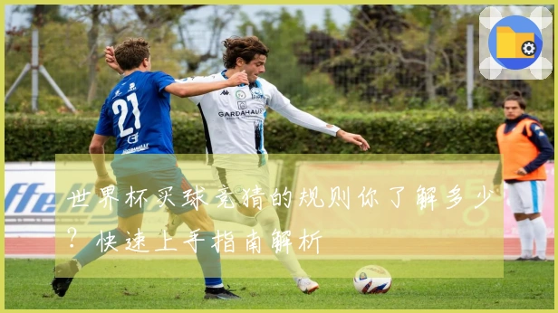 世界杯买球竞猜的规则你了解多少？快速上手指南解析