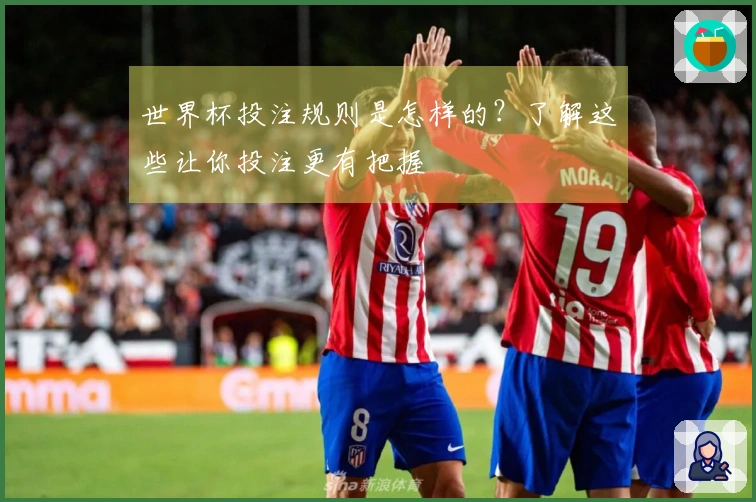 世界杯投注规则是怎样的？了解这些让你投注更有把握