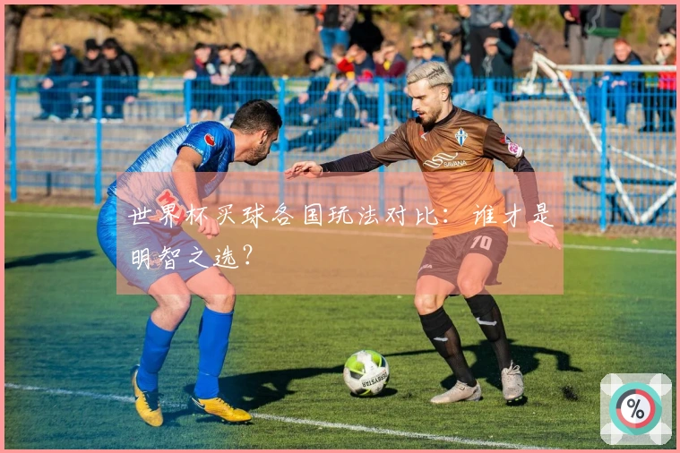 世界杯买球各国玩法对比：谁才是明智之选？