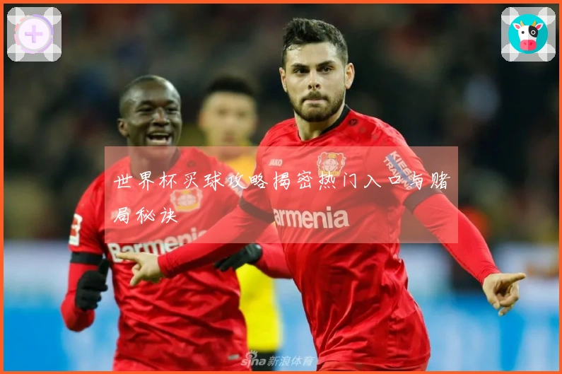 世界杯买球攻略揭密热门入口与赌局秘诀